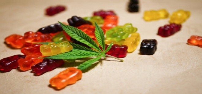 Green CBD Gummies (WARNING-2025) A Natural Path to Wellness!