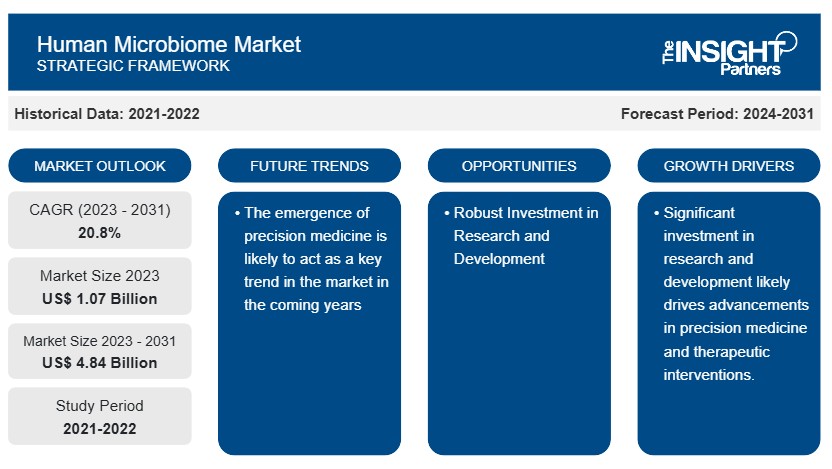 Human Microbiome Market Poised to Surpass USD 4.84 Billion by 2031 Amid Rising Demand for Personalized Healthcare