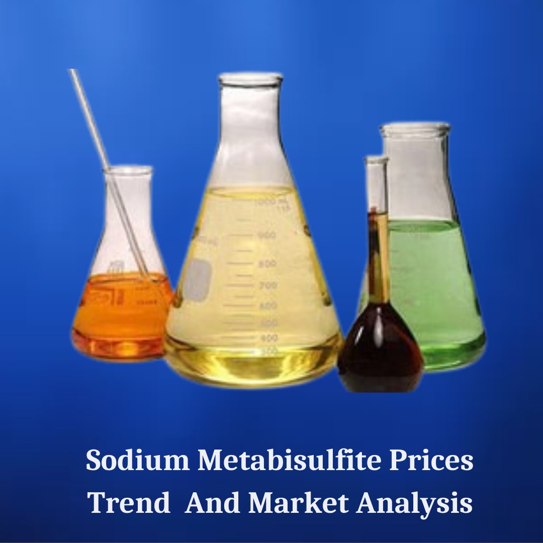 Sodium Metabisulfite Market Growth 2025: Size, Share, and Industry Insights