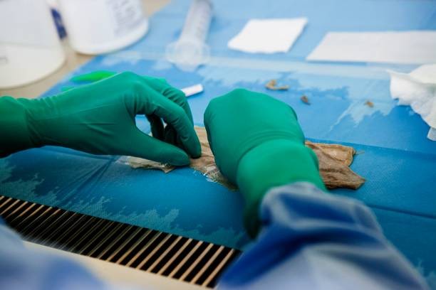 Perfusion cadaver lab training