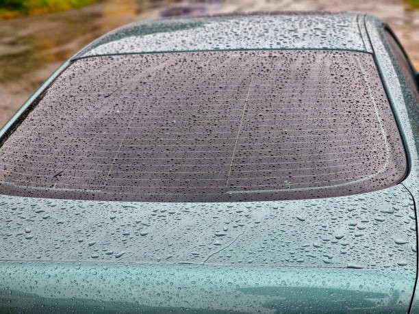 Expert Guide to Premium Car Care Products for Long-Lasting Protection