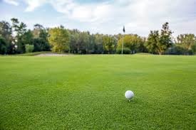 Premium Golf Turf Manufacturer in India