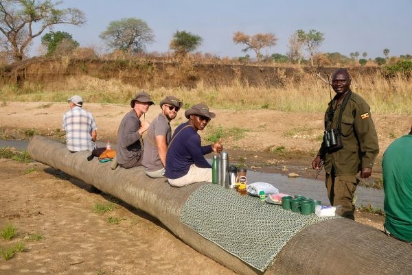 Journey Through Uganda: Adventure, Wildlife, and Unforgettable Safari Experiences